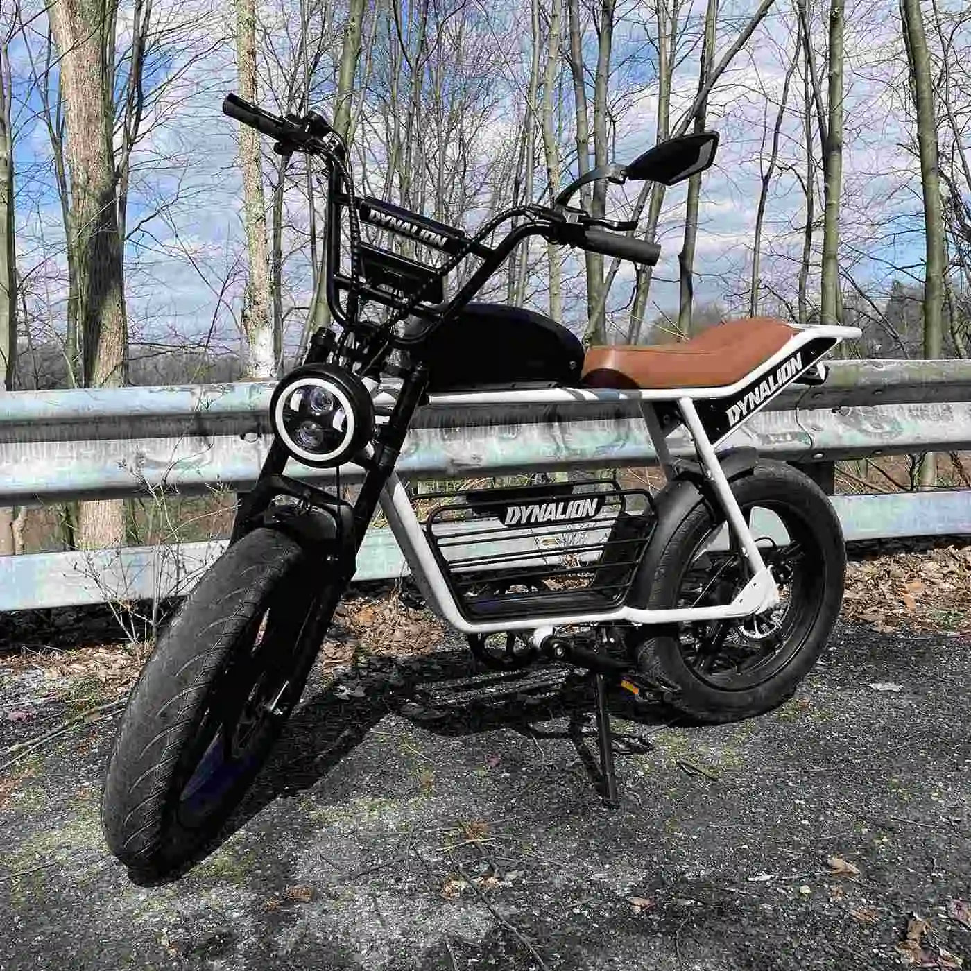 "Pedal Assist Electric Bike – Affordable,OEM/ODM Available"