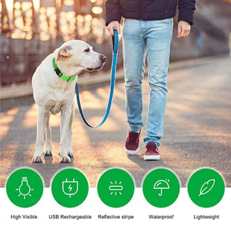 3 Modes LED Luminous Dog Collar – USB Rechargeable, Detachable for Cats & Dogs