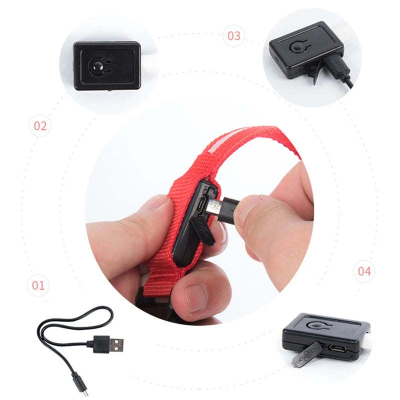 3 Modes LED Luminous Dog Collar – USB Rechargeable, Detachable for Cats & Dogs