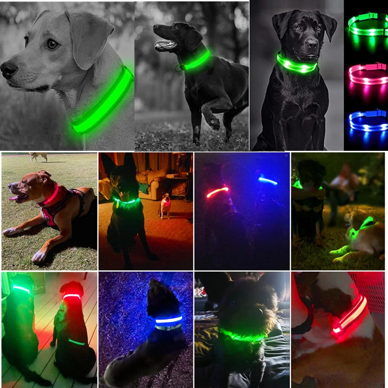 3 Modes LED Luminous Dog Collar – USB Rechargeable, Detachable for Cats & Dogs