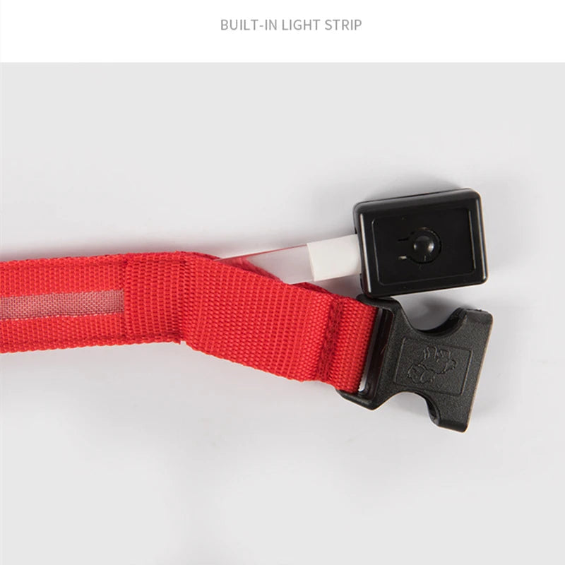3 Modes LED Luminous Dog Collar – USB Rechargeable, Detachable for Cats & Dogs