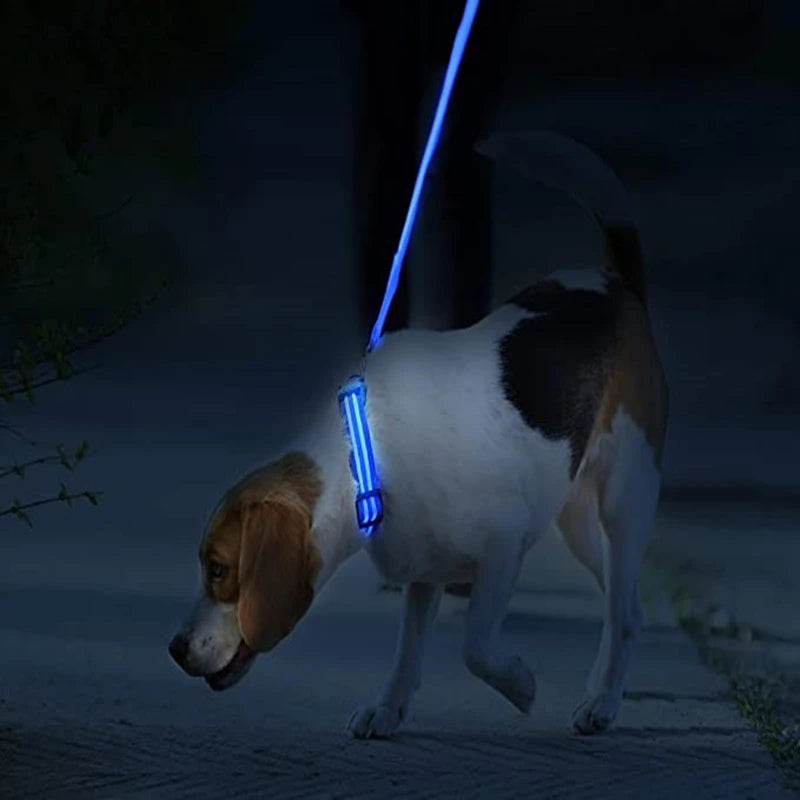 3 Modes LED Luminous Dog Collar – USB Rechargeable, Detachable for Cats & Dogs