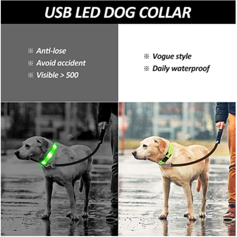 3 Modes LED Luminous Dog Collar – USB Rechargeable, Detachable for Cats & Dogs