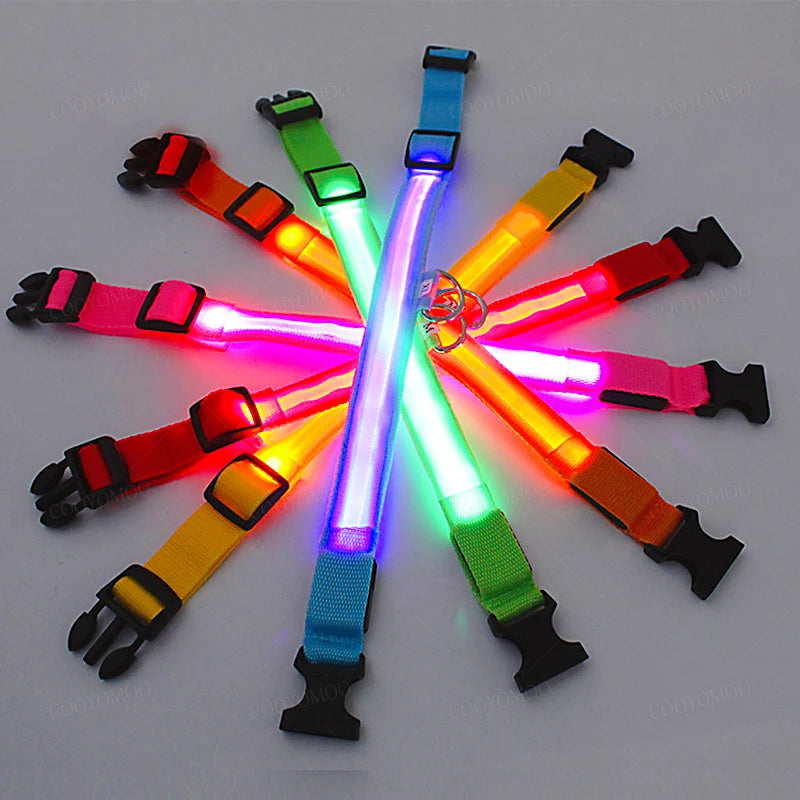 3 Modes LED Luminous Dog Collar – USB Rechargeable, Detachable for Cats & Dogs
