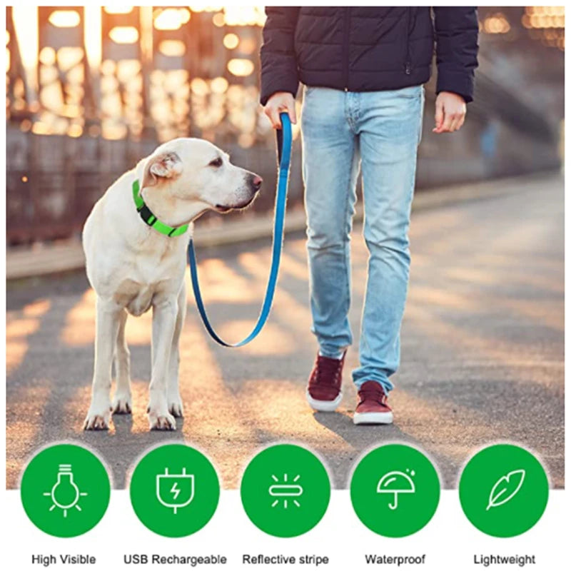 3 Modes LED Luminous Dog Collar – USB Rechargeable, Detachable for Cats & Dogs