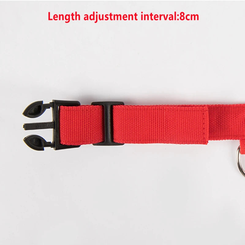 3 Modes LED Luminous Dog Collar – USB Rechargeable, Detachable for Cats & Dogs